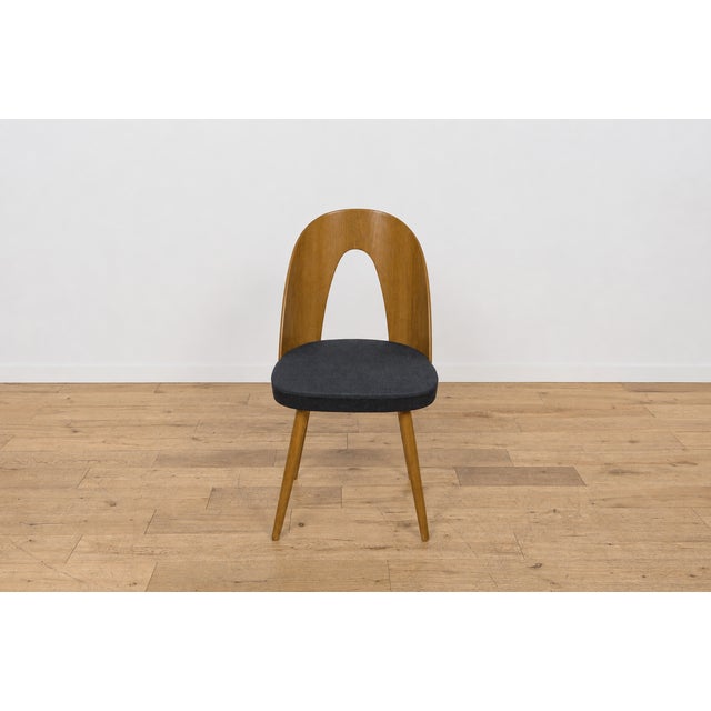 Mid-Century Oak Dining Chairs by Antonín Šuman for Tatra Nábytok, Czechoslovakia, 1960s, Set of 6 For Sale - Image 9 of 18