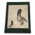 1960s Coastal Pen and Ink Painting of Pelicans For Sale