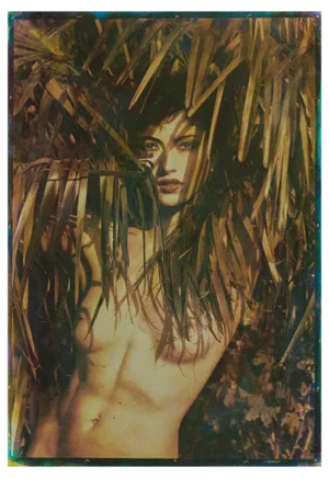 Ian Sanderson, Wild, 2011, Photographic Print