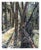 In "Light Between Drought," the artist captures a dense forest scene where light filters through the trees, illuminating...
