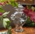 1950s Glass Ginger Jar With Etched Cherry Blossom Birds Motif For Sale - Image 9 of 9