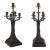 Early 20th Century Bronze Art Nouveau Bamboo & Floral Motif Lamps, France - a Pair For Sale