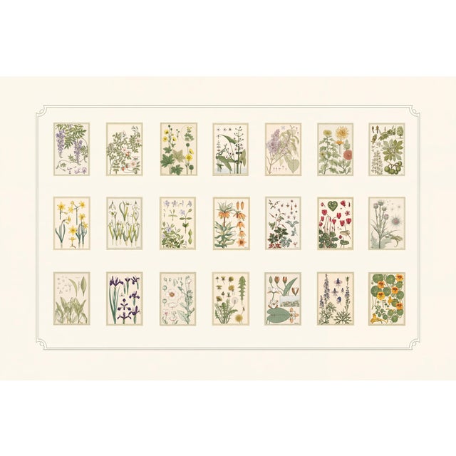 Atelier Aria Lumae Eugene Grasset Maurice Pillard Verneuil Art Nouveau Botanical Specimen Grid Board Print 60 X 40 For Sale