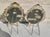 1900 - 1909 Matching Art Nouveau French Photo Frames - A Pair of 2 For Sale - Image 5 of 8