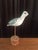 Small Carved & Hand-Painted White & Black Long-Billed Shore Bird with Glass Eyes on Natural Stand. Artist: Unknown