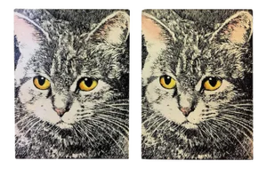 1960s Piero Fornasetti Cat Face Bookends - a Pair