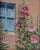 Casa de Sueño's Hollyhocks — Original Oil Painting by Andrea Gunning Infused with the charm of New Mexico’s adobe...