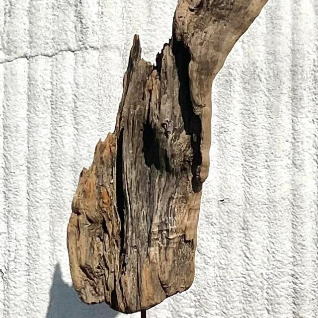 Late 20th Century Driftwood Sculpture on Steel Plinth For Sale - Image 12 of 13