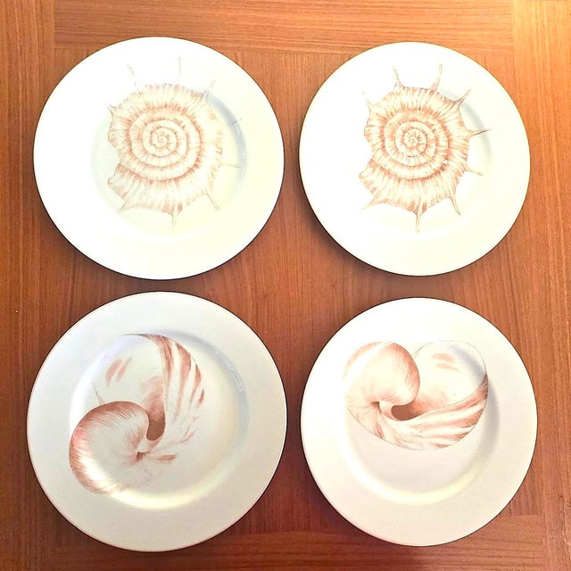 Offered is a set of 4 Fitz & Floyd shell themed dinner plates from the now retired Coquille collection. It features 2 of...