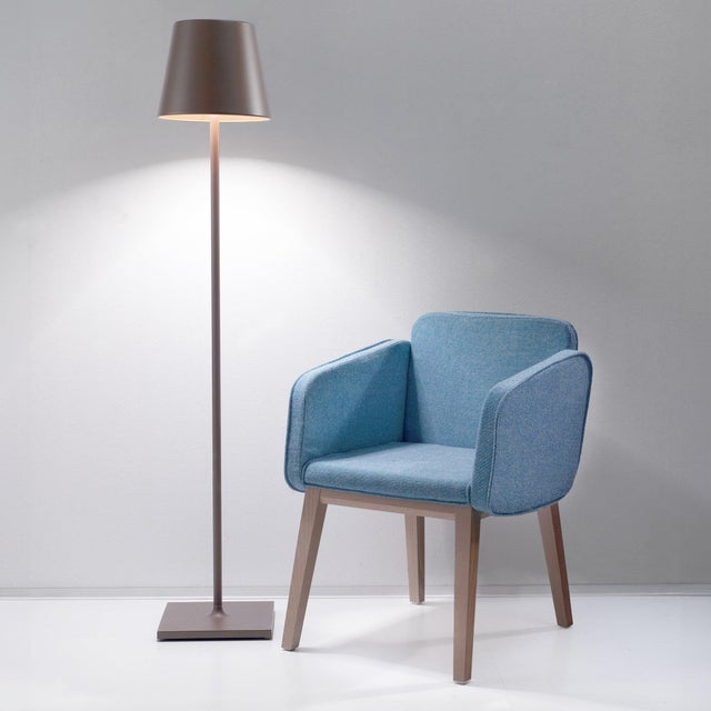 Battery-operated, rechargeable, and height adjustable portable floor and/or table lamp. The lamp features dimming touch...