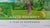 After the Harvest Poster after David Hockney For Sale - Image 4 of 6