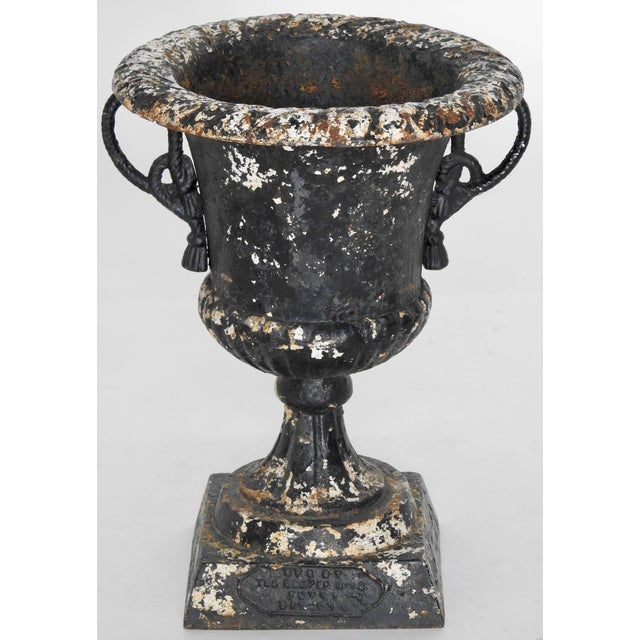 Featured is an elegant pair of 19th century cast iron planters from the Victorian era. They are enhanced with a rope...