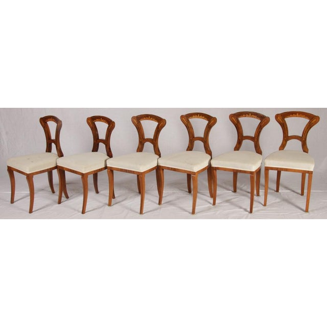 Antique Biedermeier Chairs, Vienna, Austria, 1820s-1830s, Set of 6 For Sale - Image 12 of 18