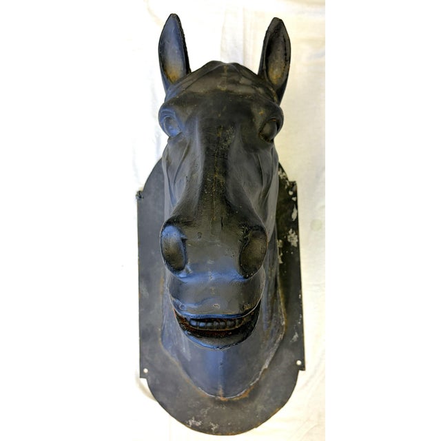 Wow! This is an awesome antique French life size horse head wall plaque from the early 20th century. It is made of heavy...