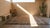 Early 20th Century Chinese Peking Carpet For Sale - Image 10 of 10