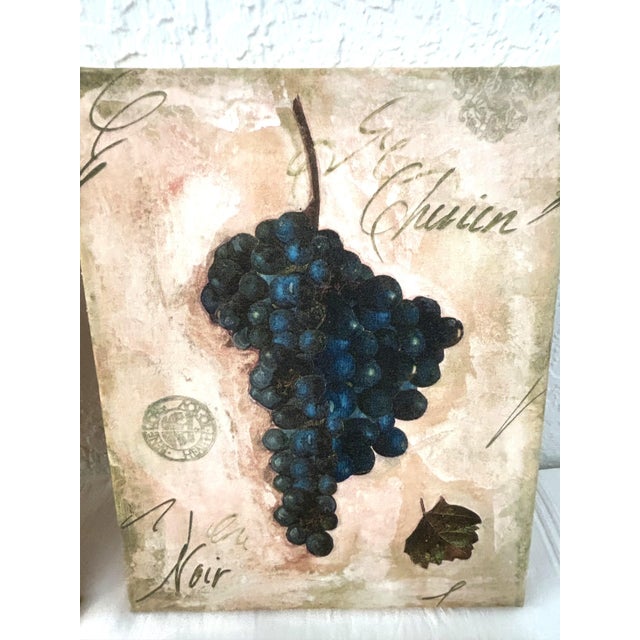 Vintage Vineyard Grape Canvas Prints, Set of 4 For Sale - Image 4 of 7