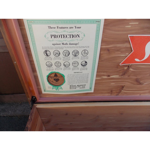 Early 19th Century West Branch Carved Cedar Chest For Sale - Image 10 of 10