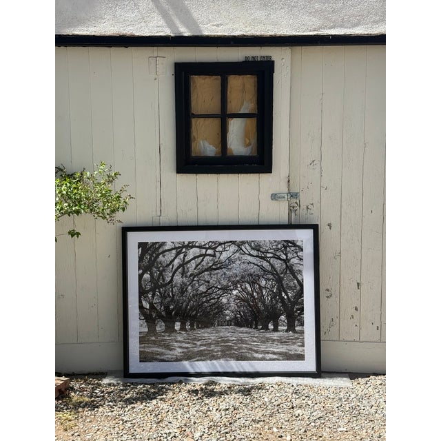 Modern Contemporary Restoration Hardware “Oak Plantation” Framed Art – 38.5” X 50” For Sale - Image 3 of 4