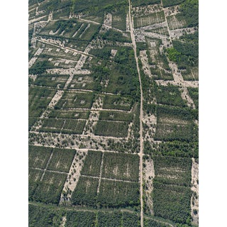 Bernhard Lang, AV_Forests_in_Formation_009, Aerial View, 2025, Print For Sale