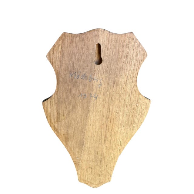 1900 - 1909 1990s Roe Deer Trophy 7 Black Forest Antlers Mount For Sale - Image 5 of 5