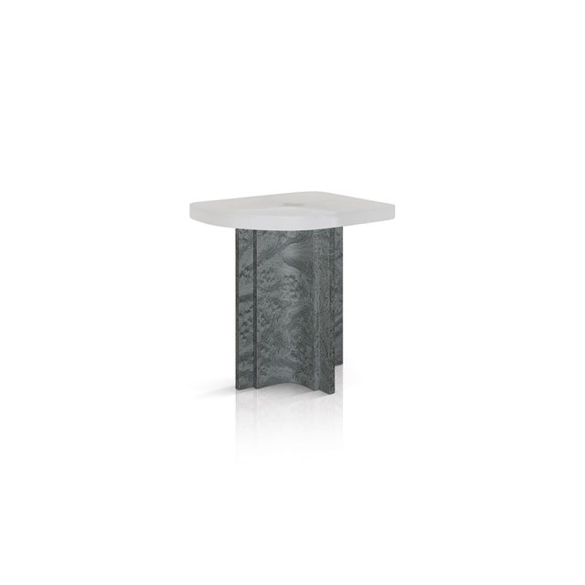 Gray Grey Elm Burl Veneer & Resin Fossil Side Table by Daniel Nikolovski & Danu Chirinciuc for KABINET, 2019 For Sale - Image 8 of 8