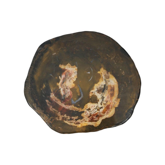 Contemporary Petrified Wood Coffee Table by Xyleia Petrified Wood For Sale - Image 3 of 5