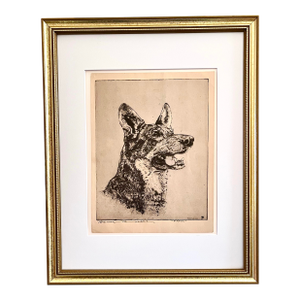 Vintage Original Etching of a German Shepherd Dog by Benson Moore