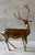 Mid 20th Century Large Vintage Solid Brass Stag For Sale - Image 5 of 8