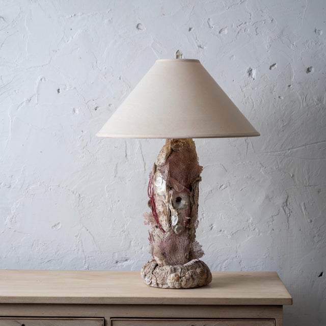 Shell A Seashell and Coral Grotto Lamp, 20th Century For Sale - Image 7 of 10
