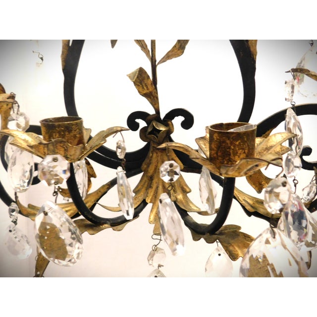 Black and Gold Gilt Metal Floral Wall Sconce, Teardrop Crystals, Candleholders For Sale - Image 13 of 14