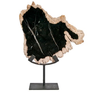 Petrified Wood Slice Sculpture For Sale