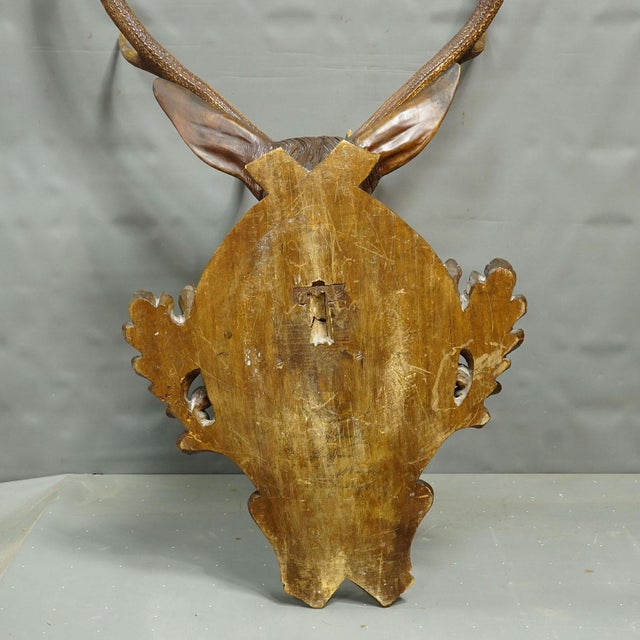 Brown Large Naturalistic Black Forest Carved Stag Head, Ca. 1920s For Sale - Image 8 of 11