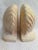 Shabby Chic Vintage Palm Beach Style Plaster Clam Shell Bookends - a Pair For Sale - Image 3 of 11