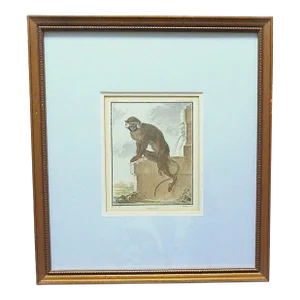 1 of 3 18th Century French Hand Colored George-Louis Leclerc Comte De Buffon Monkeys Copper Engravings Framed Antique - Moustac