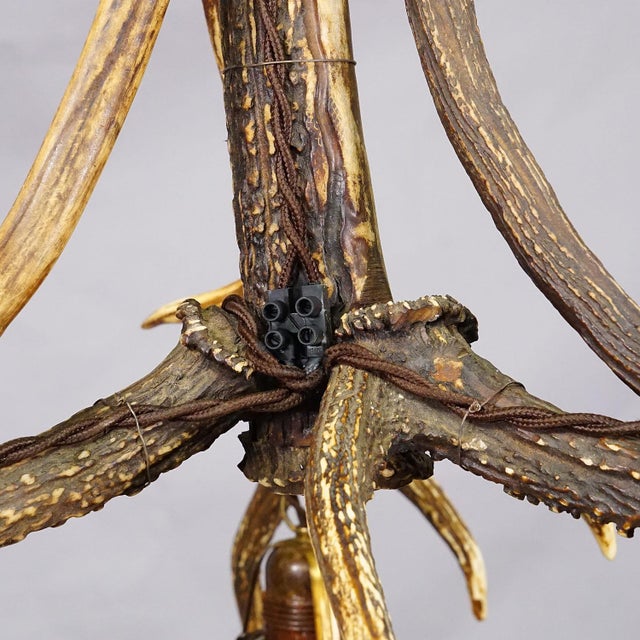 Rustic Black Forest Ceiling Lamp With Deer Antlers 1920s For Sale - Image 6 of 7