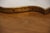Brass Wall Mirror in the style of Gio Ponti, 1950s For Sale - Image 9 of 18