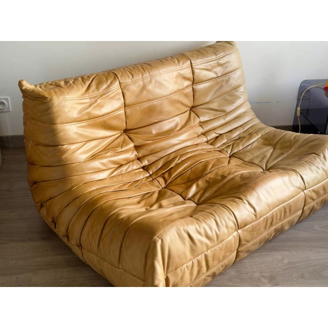 Early 21st Century Togo 2-Seater Sofa Ligne Roset For Sale - Image 5 of 13