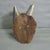 Vintage Roe Deer Trophy on Carved Plaque, Austria 1951 For Sale - Image 4 of 5