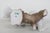 Lefton Porcelain Love Doves Perched on Tree Branch Model No 754 Figurine 4971b For Sale In Miami - Image 6 of 9