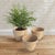 Rattan goes mod with our latest Cane Rattan collection. With a light and refined color & finish, a distinctively more...