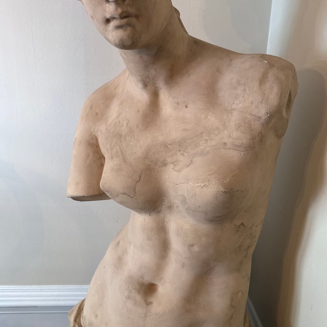 1970s 1970s Vintage Oversized Elegant Fiberglass Venus De Milo Bust For Sale - Image 5 of 12