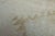 Turkish 1970s Vintage Handmade Wool Cotton Turkish Beige Area Rug For Sale - Image 3 of 11
