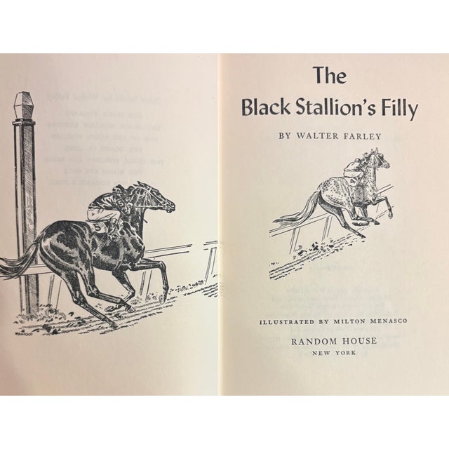 1950s Set of Four Rare First Edition Books From the Black Stallion Series by Walter Farley For Sale - Image 9 of 15