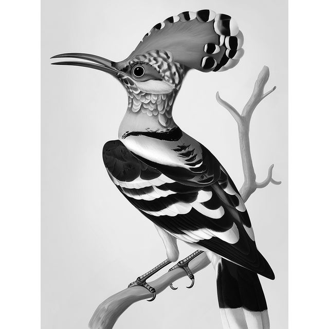 2020s Black-and-White Hoopoe Bird Illustration — Museum-Quality Fine Art Print For Sale - Image 5 of 5