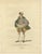 Jefferys, German Nobleman in Plumed Red Cap and Paned Hose, Costume of 1577, 1757, Engraving For Sale - Image 3 of 9