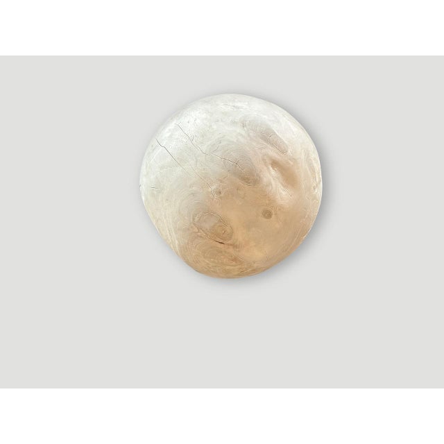 Andrianna Shamaris Sculptural Bleached Sphere on a Stand For Sale - Image 4 of 18