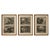 Pieter Mortier, Creation of the World & Genesis Scenes, 1700s, Engraving, Set of 3 For Sale - Image 10 of 10