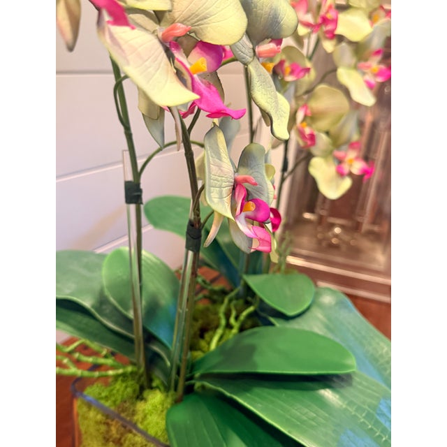 Modern Mint Leaf Orchid Luxe For Sale - Image 3 of 6