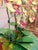 Modern Mint Leaf Orchid Luxe For Sale - Image 3 of 6