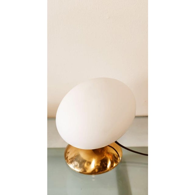 Brass Light with Oval Glass For Sale - Image 17 of 18